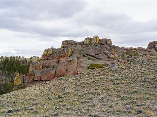 Laramie Overlook 40 : Livermore : Larimer County : Colorado