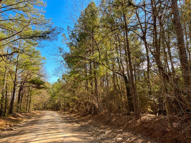 50 Acres, T-14, Union Springs Rd : Corrigan : Polk County : Texas