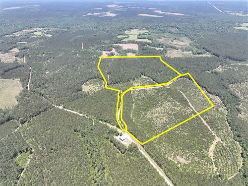 35 Acres, T-15, Union Springs Rd : Corrigan : Polk County : Texas