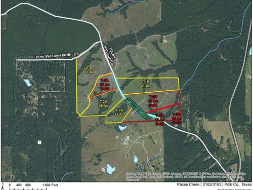 61 Acres, Paces Creek, T-5, 3162 : Moscow : Polk County : Texas
