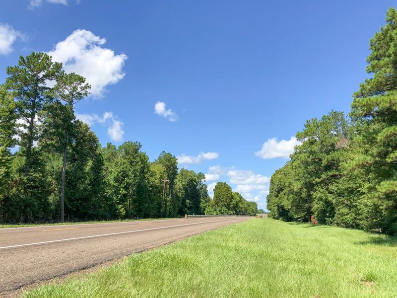 410 Acres, Paces Creek, 3071 : Corrigan : Polk County : Texas