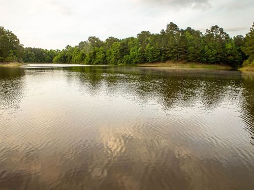 Whisky Branch Ranch : Cleveland : Liberty County : Texas