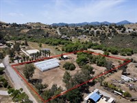 Moringa Farm : Ramona : San Diego County : California
