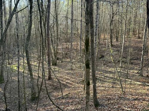 51 Acres in Choctaw County, MS : Ackerman : Choctaw County : Mississippi