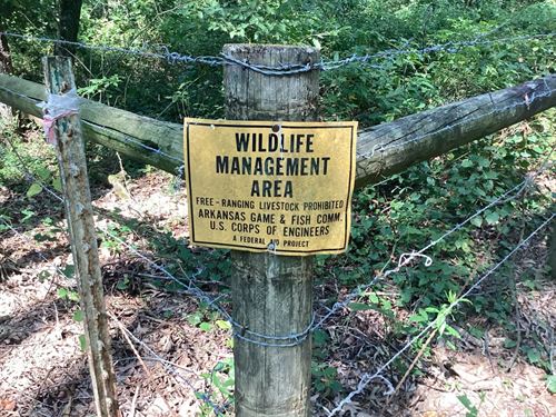 38 Acres in Conway County, AR : Plumerville : Conway County : Arkansas