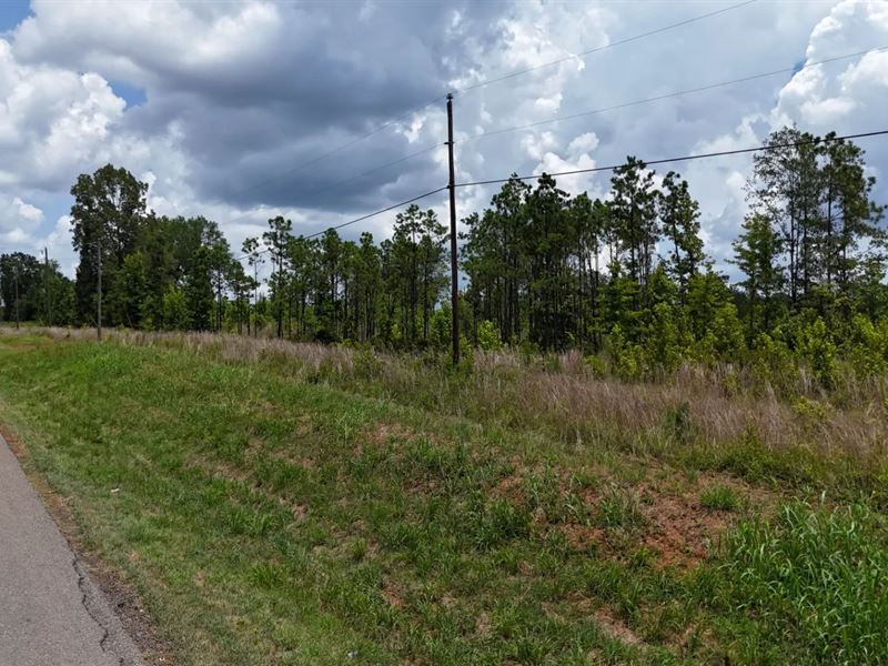 9.5 Acres in Lincoln Parish, LA : Ruston : Lincoln Parish : Louisiana