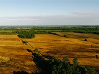 252 Acres in Lake County, TN : Tiptonville : Lake County : Tennessee