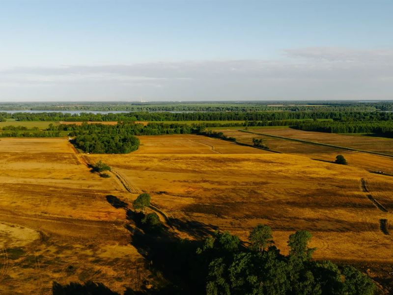 252 Acres in Lake County, TN : Tiptonville : Lake County : Tennessee