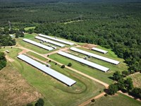 21 Acre Poultry Farm in Union Paris : Dubach : Union Parish : Louisiana