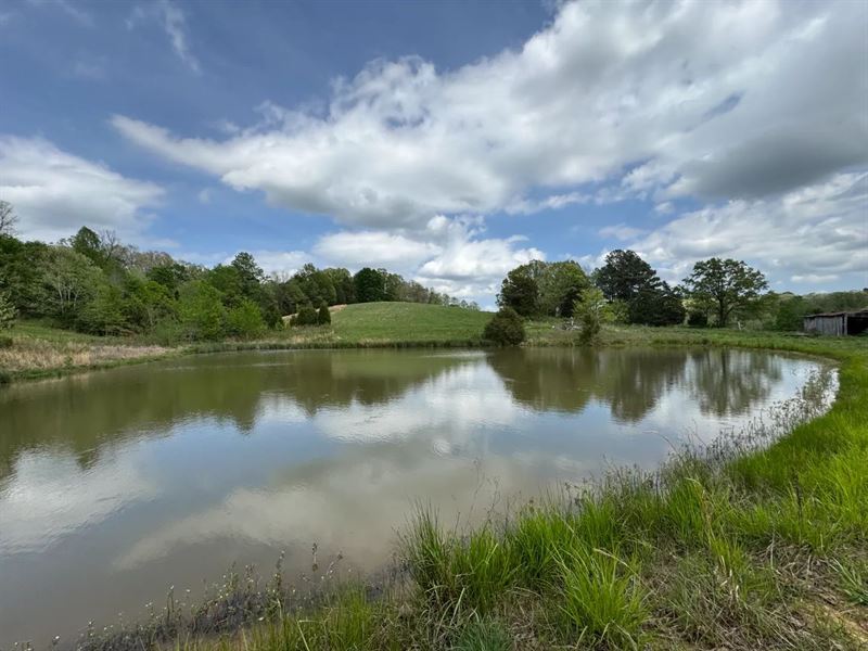 105 Acres in Butler County, KY : Morgantown : Butler County : Kentucky