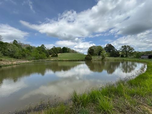 105 Acres in Butler County, KY : Morgantown : Butler County : Kentucky