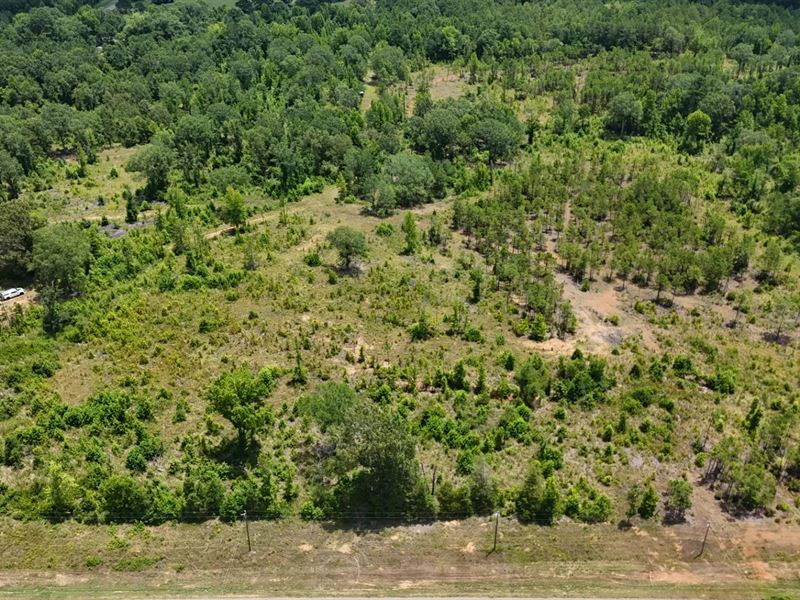 12.5 Acres in Lincoln Parish, LA : Ruston : Lincoln Parish : Louisiana