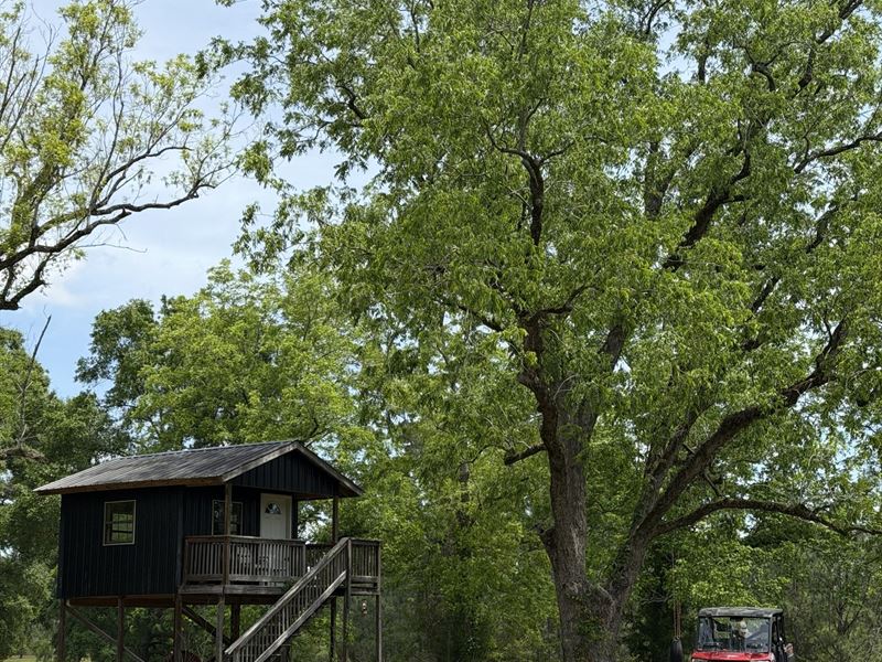 Bucks Mill Creek 295 : Elba : Coffee County : Alabama