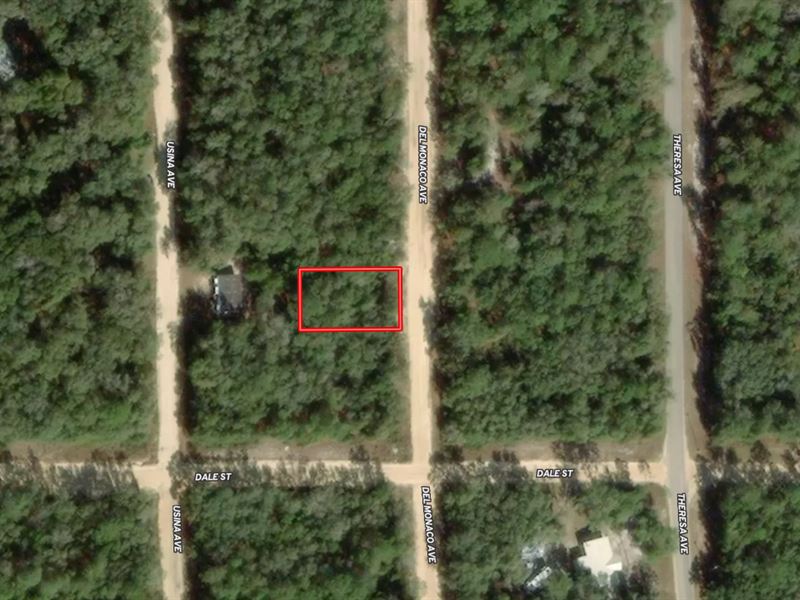 Wooded 0.22 Acre Buildable Lot : Interlachen : Putnam County : Florida