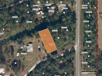No HOA Land Deal at $99 Down : Interlachen : Putnam County : Florida