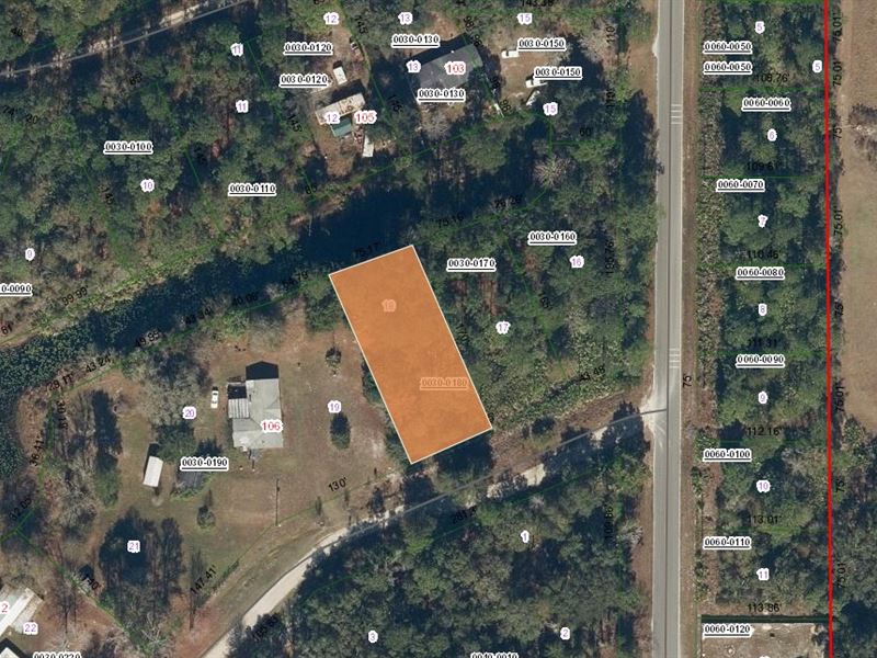 No HOA Land Deal at $99 Down : Interlachen : Putnam County : Florida