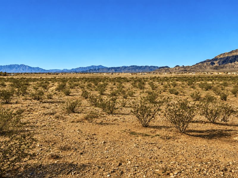 .20 Acre Lot Near Hwy in Pahrump : Pahrump : Nye County : Nevada