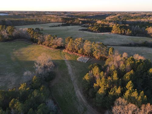 Beautiful Farm with Pond and Stream : Nashville : Nash County : North Carolina