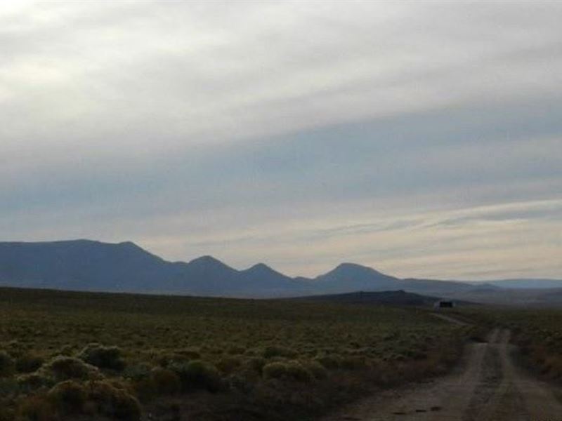 Is a Simpler Life Calling to You : Sanford : Costilla County : Colorado