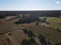 Prime Farmland with Timber and Pond : Nashville : Nash County : North Carolina