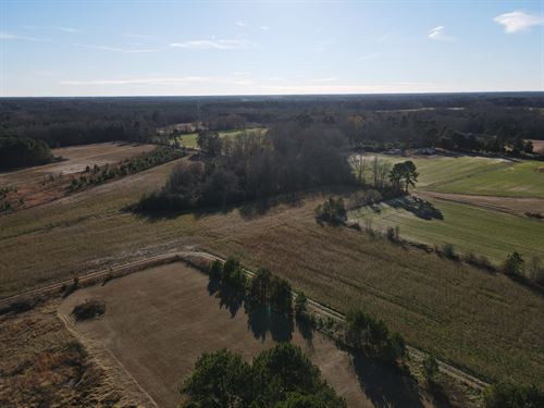 Prime Farmland with Timber and Pond : Nashville : Nash County : North Carolina