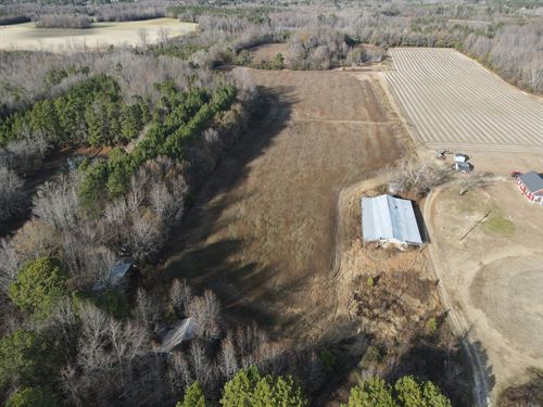 Secluded Homesite and Farm : Rocky Mount : Nash County : North Carolina