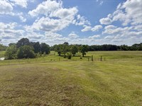 McKenzie Grade Hobby Farm : Georgiana : Butler County : Alabama