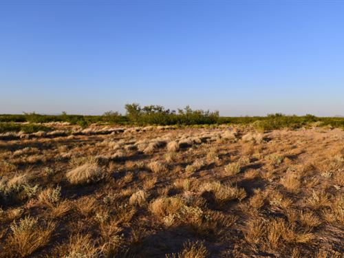 .50 Acres of Raw Desert Quiet : Deming : Luna County : New Mexico