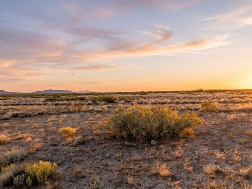.50 Acres of Raw Desert Quiet : Deming : Luna County : New Mexico