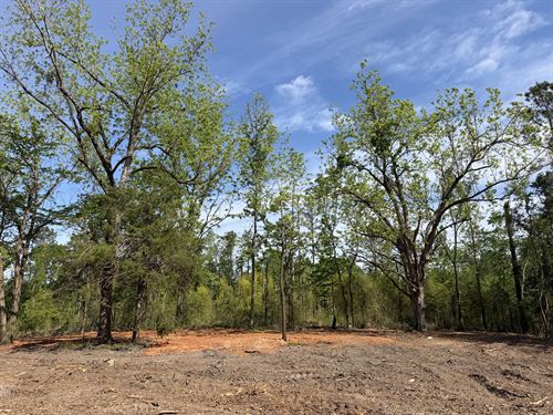 County Road 410 Lot, 3 Acres : Quitman : Clarke County : Mississippi