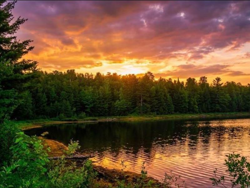Waterfront Acreage on Quiet Lake : Sidnaw : Houghton County : Michigan