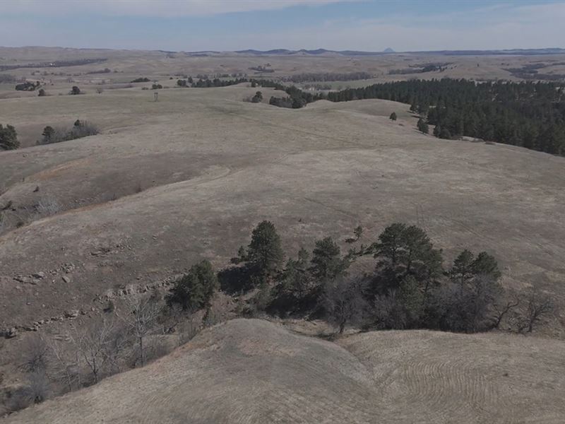 Lot A1 Crow Subdivision : Belle Fourche : Butte County : South Dakota