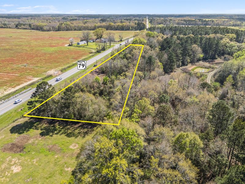 Bonifay Sr-79 Frontage Land : Bonifay : Holmes County : Florida