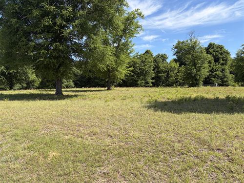 Monterey Road 3 Acres : Forest Home : Butler County : Alabama