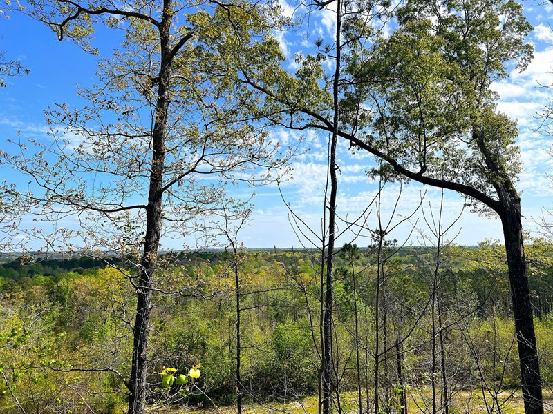 The Barrett Place : Marbury : Autauga County : Alabama
