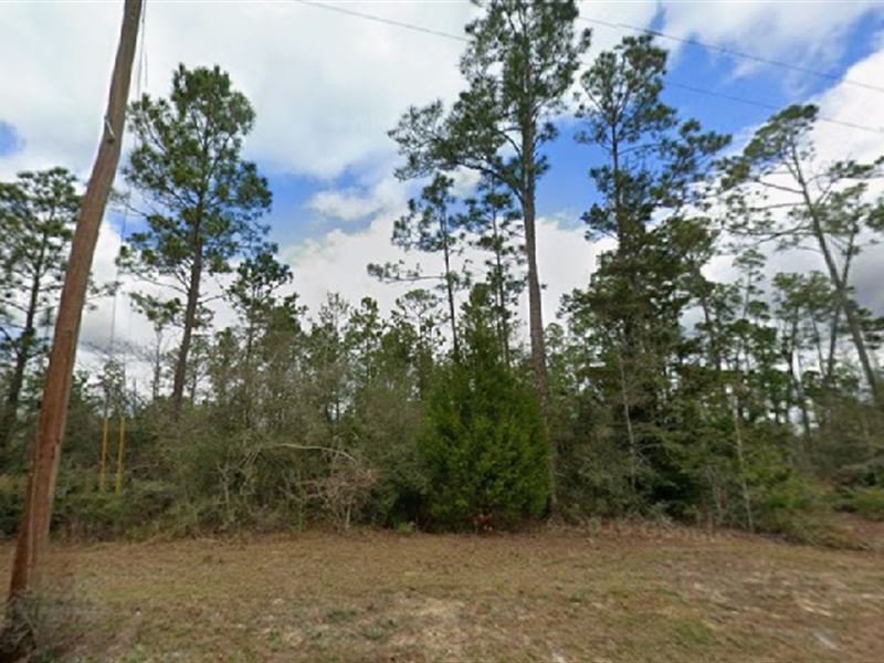 Lakeside Life for Just $399/Mo : Round Lake : Jackson County : Florida