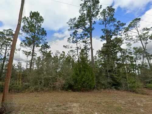 Lakeside Life for Just $399/Mo : Round Lake : Jackson County : Florida