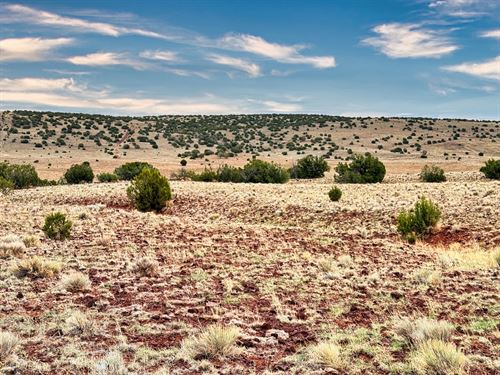 Inflation Eats Savings Land Doesn't : Concho : Apache County : Arizona