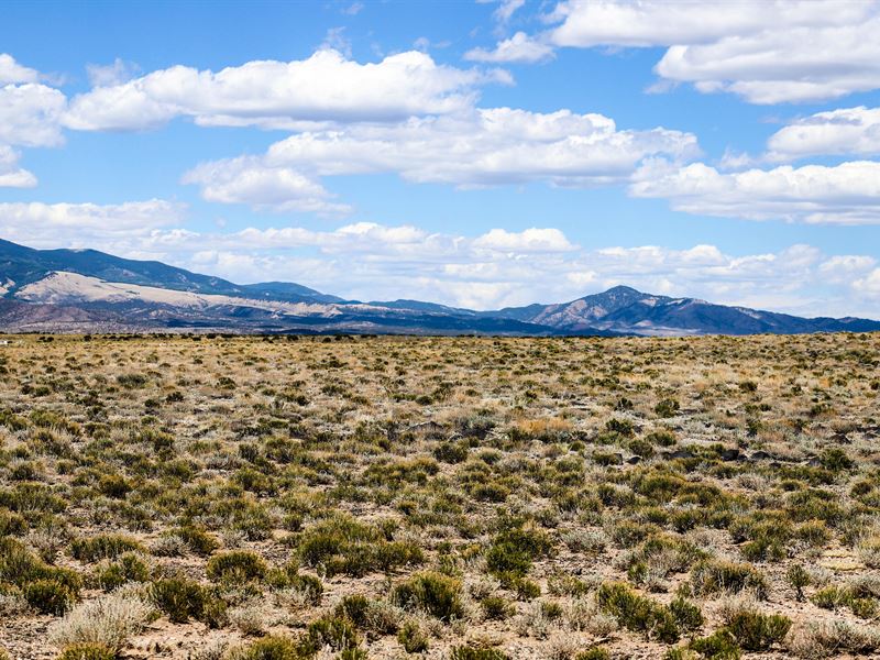 Wide Open Spaces & Mountain Views : Blanca : Costilla County : Colorado