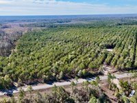 90 Acre Hunter's Retreat on Tillman : Lumber City : Wheeler County : Georgia