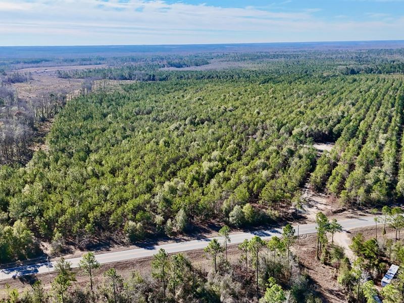 90 Acre Hunter's Retreat on Tillman : Lumber City : Wheeler County : Georgia