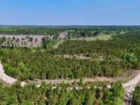 25.5 Acre Hunting Retreat in Wheele : Lumber City : Wheeler County : Georgia