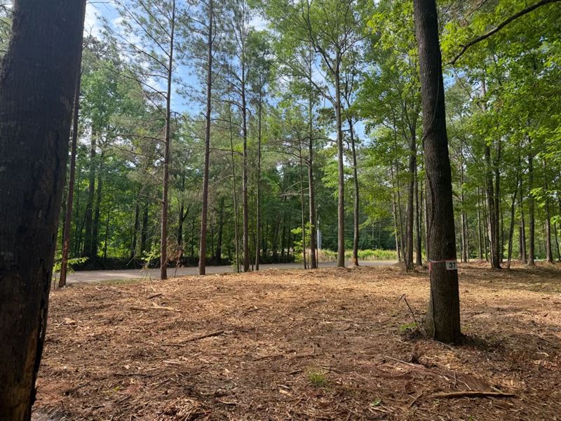 6.59 Acres in Rankin County, MS : Brandon : Rankin County : Mississippi