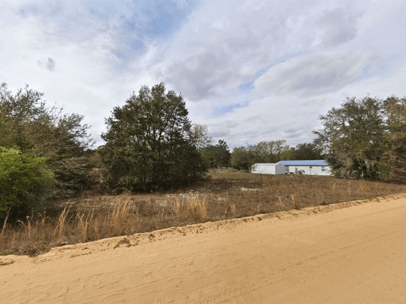 Double Road Frontage Near Downtown : Interlachen : Putnam County : Florida