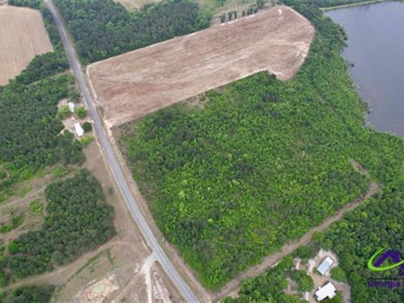 Recreational /Homesite Tract : Chester : Dodge County : Georgia