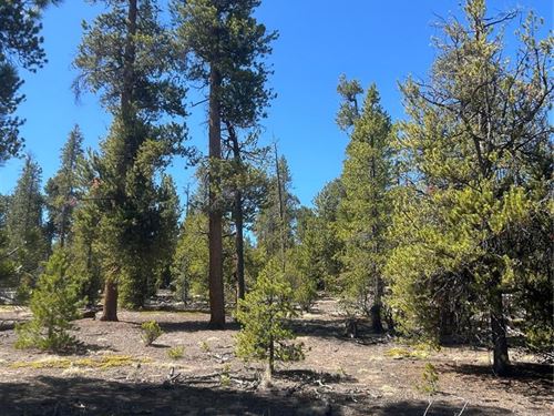 .31 Acres : Leadville : Lake County : Colorado