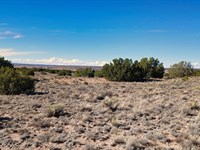 Less Than Lawn Care, Yours Forever : Sanders : Apache County : Arizona