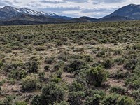 10Ac Montello Nv, $313/Mo, No HOA : Montello : Elko County : Nevada
