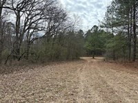 5 Ac Paved Road Frontage : Keysville : Burke County : Georgia