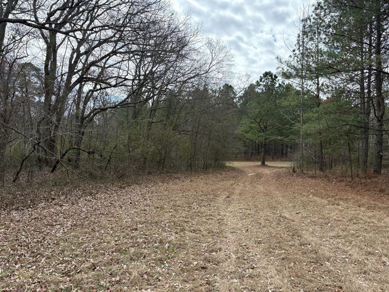 5 Ac Paved Road Frontage : Keysville : Burke County : Georgia